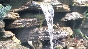 周末爬山新选择！轻松登顶，尽享惬意时光 