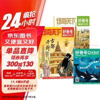 好奇号杂志 2025年1月-2025年12月 1年12期 每月3册 全年订阅 青少年科普读物