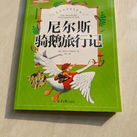 《尼尔斯骑鹅旅行记》彩图注音版