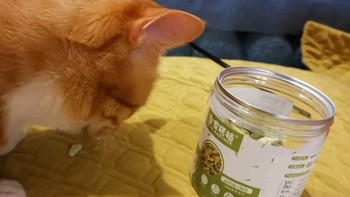 皇家搭档猫饼干猫猫很喜欢