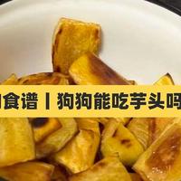 狗狗食谱丨狗狗可以吃芋头吗？小甜甜能一口一个