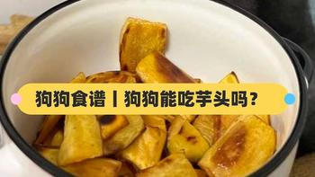 狗狗食谱丨狗狗可以吃芋头吗？小甜甜能一口一个