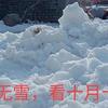 “有雪无雪，看十月十一”，2025年春节雪大吗？看农谚咋说？