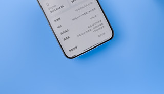 Oppo Find X8 追风蓝