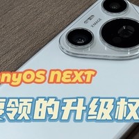 HarmonyOS NEXT一定要领的升级权益