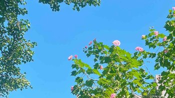 高铁玩转温州｜你知道东瓯国吗？这里藏着答案！ 