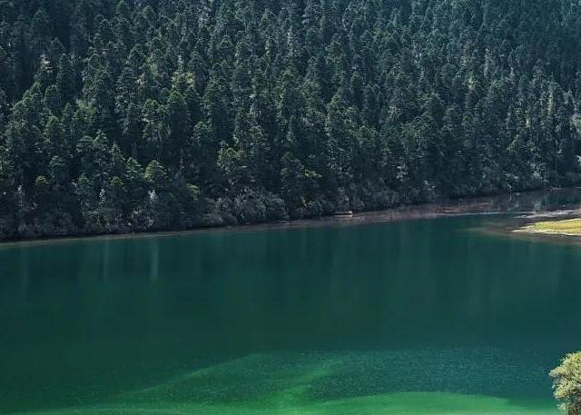 顶级景色顶级会吃顶级松弛，它们真的没有平替！