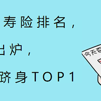 增额终身寿险排名，11月新出炉，1款黑马跻身TOP1？