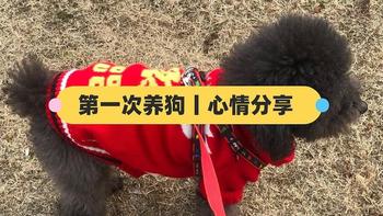新手养狗丨第一次养狗是什么心情？ 