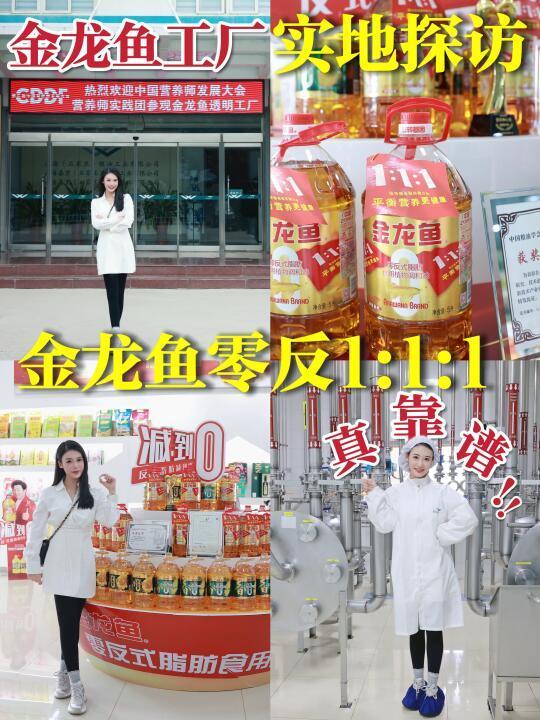 金龙鱼工厂实地探访，金龙鱼食用油真的靠谱