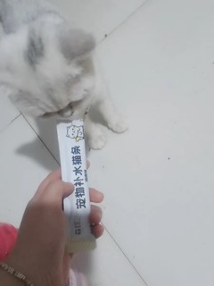 《天猫双十一必入的森行鱼油补水猫条，猫咪超爱！》