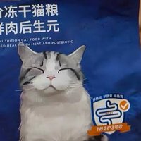 豆柴原动力猫粮：肠胃健康的秘密武器！