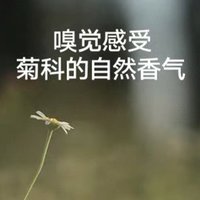 雏菊的天空翡冷翠修护精华油，一瓶搞定你的肌肤问题！