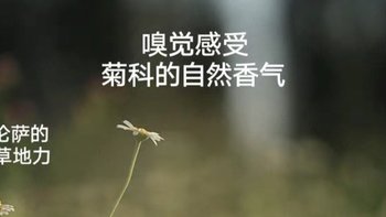 雏菊的天空翡冷翠修护精华油，一瓶搞定你的肌肤问题！