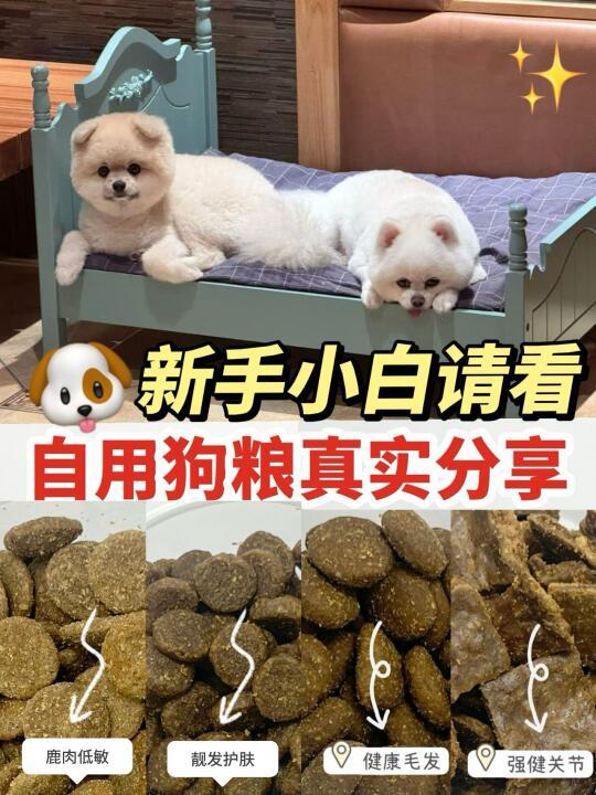 自用狗粮真实分享❗️狗粮大揭秘