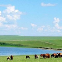 寻找知音？高山流水遇知己，音乐之旅从这里开始！