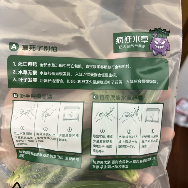 双十一在京东买的水草，为什么没有根啊