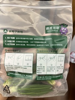 双十一在京东买的水草，为什么没有根啊