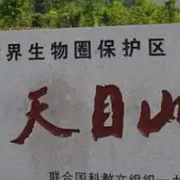 临安旅游攻略：探秘自然与文化的宝藏之地