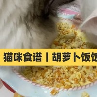 猫咪食谱丨猫能吃胡萝卜吗？