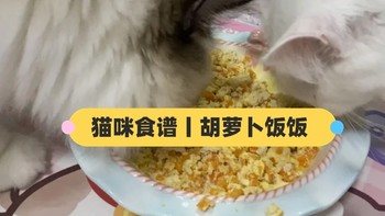 猫咪食谱丨猫能吃胡萝卜吗？