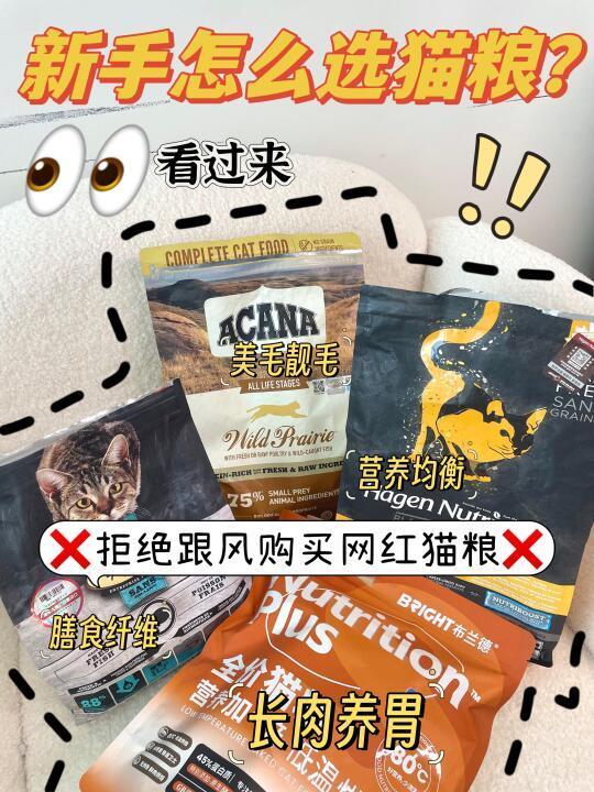 新手养猫怎么选粮？看这一篇就够了