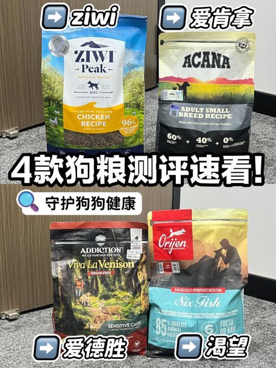 ✅守护狗狗健康！狗粮测评！