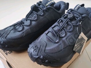 耐克（NIKE）ACG MOUNTAIN FLY 2 LOW GORE-TEX 男子防水运动鞋 HF6245-001 41