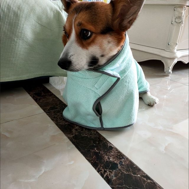 狗狗必备！超吸水浴巾，告别湿哒哒