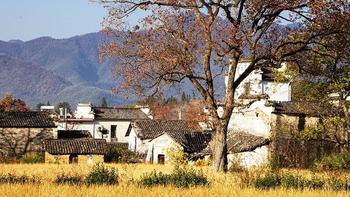 被CNN评为中国最美的地方！江浙沪高铁直达！晨雾、红枫...这片独得恩宠的秋色，真是绝美！ 