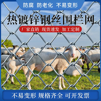 🐮热镀锌防锈铁丝网，养殖围栏的好帮手！🐮