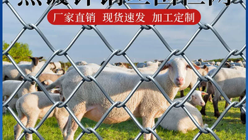 🐮热镀锌防锈铁丝网，养殖围栏的好帮手！🐮