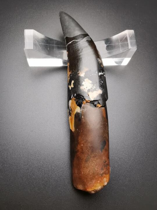 如果走一下蒙古边境，会有多少惊喜