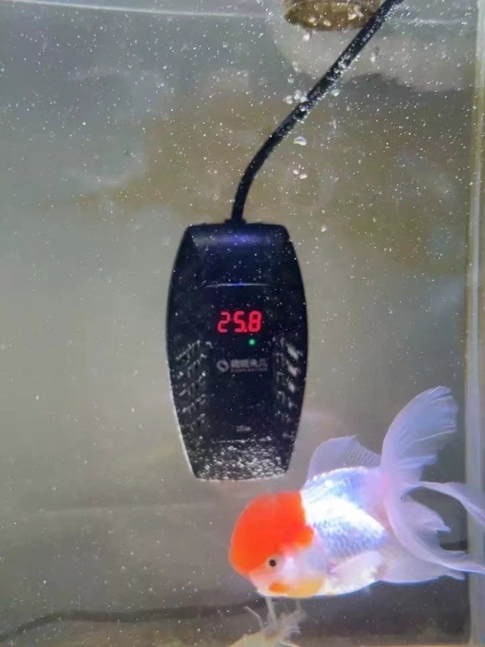 鱼缸加热棒!自动恒温!