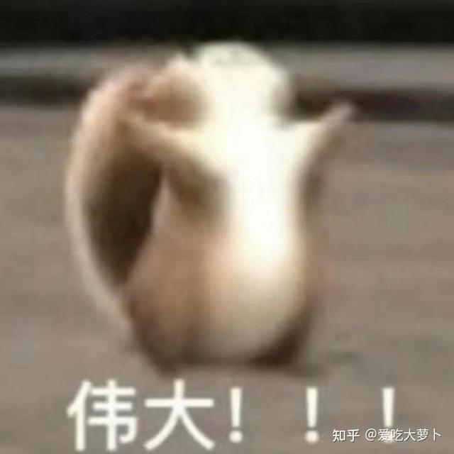 磷虾油和鱼油之间怎么选？二者有什么不同？是智商税吗？VIKpro这个品牌怎么样？