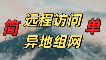 小白远程访问的福音，无需公网，拉满带宽，蒲公英的三种组网方案