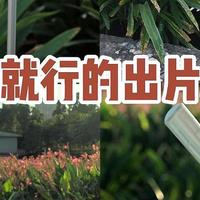 有手就行的出片神器|SEAJIC施吉客磁吸支架