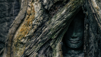 美不是存在，而是一种消失 