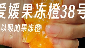 冬日必吃！美味又养生的水果