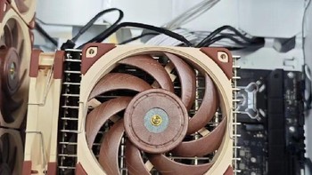 NOCTUA 猫头鹰 P1 被动散热器自己分享