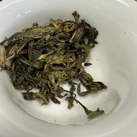 你听说过鹿嘴尖产区吗？24年头春头采的普洱生散茶