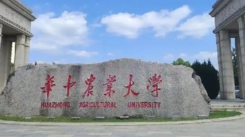 马斯克说：大多数人上大学就是浪费青春