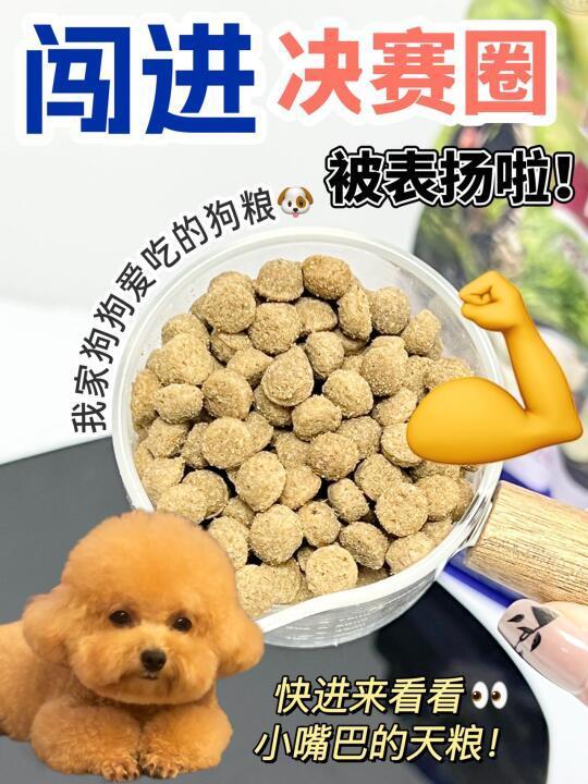 被表扬啦！给毛孩子的优质狗粮推荐！