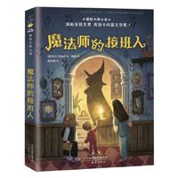 《魔法师的接班人》：家庭温暖的奇幻之旅