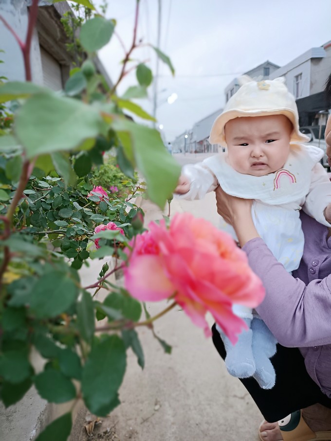 鲜花