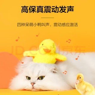 喵星人新宠！智能逗猫球，让猫咪快乐玩耍