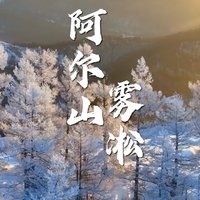 在中国国家地理的广阔画卷上，阿尔山以其独特的雾凇奇观，惊艳了整个冬天。