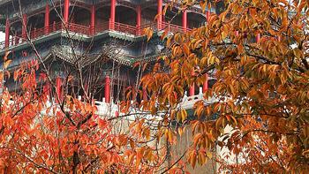 陕西省咸阳周边有其他小众景区适合去游玩吗？一篇攻略带你了解 