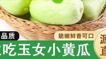 京地达山东玉女小黄瓜：清新爽口，源头直发的健康选择