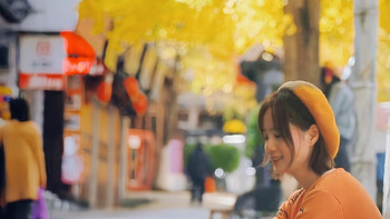 大理玉洱路的银杏叶🍂，已到了最佳观赏期 